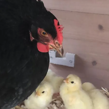 Apartman Lindegaardapartment - Woods And Sea *