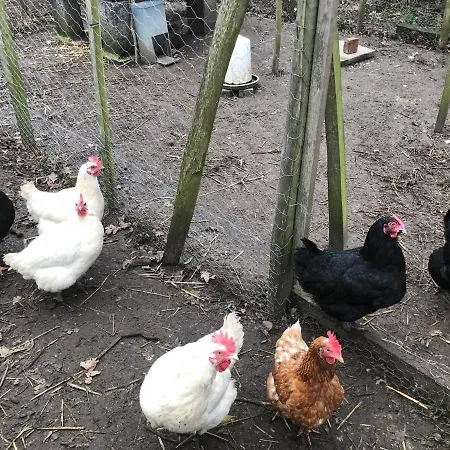 Apartman Lindegaardapartment - Woods And Sea *