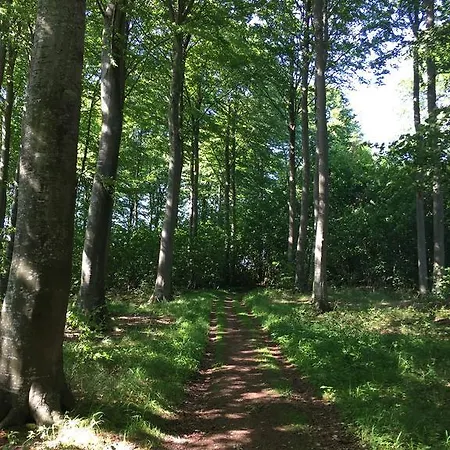 Lindegaardapartment - Woods And Sea * Hejls