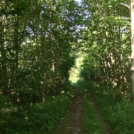 Lindegaardapartment - Woods And Sea *